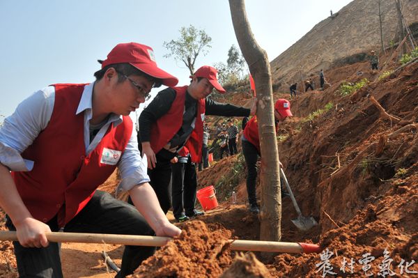 青年志愿者义务植树.jpg