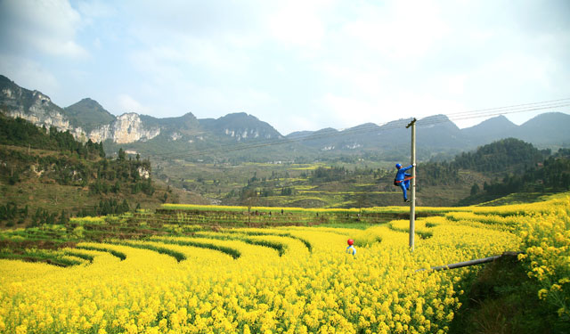 3月18日，供电员工穿行在油菜花海之间，检查用电设备、消除线路缺陷，为地点设在余庆县大乌江镇红渡村楼子上村民组的油菜花节开幕活动，提供稳定可靠的电力保障。据悉，本次油菜花节开幕活动期限还有两天，贵州电网公司余庆供电局提前对区域线路、设备开展巡视消缺工作，确保整个活动过程用电稳定通畅。