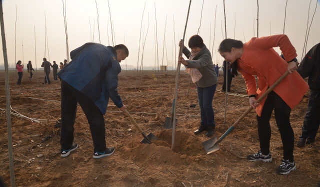 　　3月12日，为保护我们身边的生态和生存环境，减少污染，提倡环保绿色生活，广饶县供电公司组织16名志愿者来到李鹊镇参加义务植树活动。