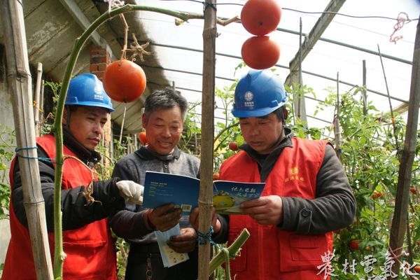 3月24日，江苏泗洪孙园镇刘德居委会无公害蔬菜基地，两名供电所员工在向菜农介绍绿色电能服务万家并宣传安全用电常识。当天，