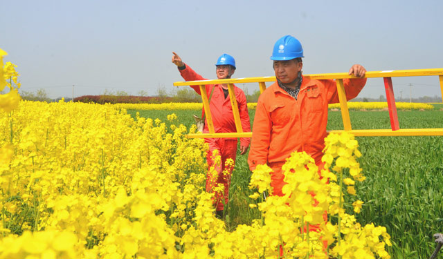 　　3月31日，在安徽省广德县在城郊和平村，广德供电公司邱村供电所员工正在对农排线路安全隐患进行排查。近期，该公司在开展春检的同时，优先对农排线路进行隐患排查，发现问题及时整改，保障农村地区春耕期间安全可靠供电。