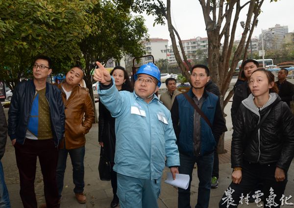 线路巡视现场培训（晏亚南 摄）.jpg