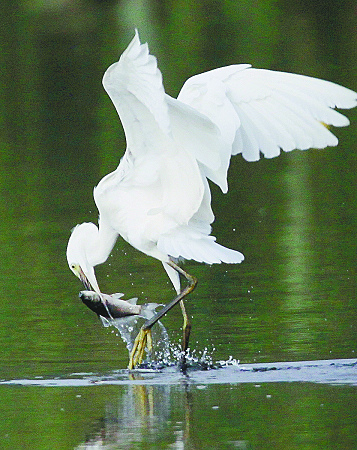 image001.jpg