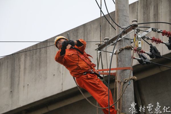 11月13日，国网安徽宁国市供电公司二工区的队员们在汪溪办事处联合村三合三队台区对10千伏港西113线高低压线路进行低电压整改。.jpg