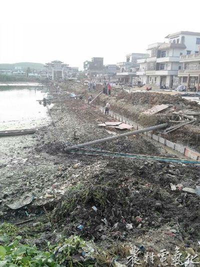 电杆倒塌现场。.jpg