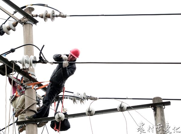 遭雷击线路抢修现场.jpg