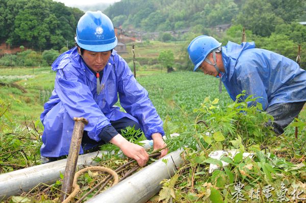 图2：5月9日，福建建瓯市供电公司抢修人员正在抢修受损线路.jpg