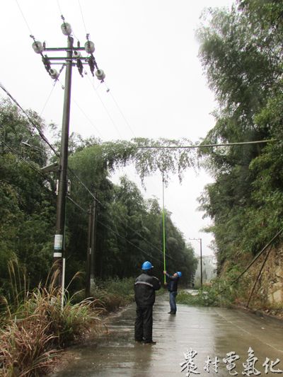 国网福鼎市供电公司：深入高山清理树障  保春节安全用电 (1).jpg