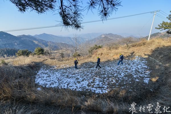 巡线路上有一段背阴处，去年11月的积雪还在.jpg