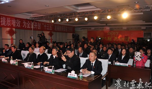 观众.jpg