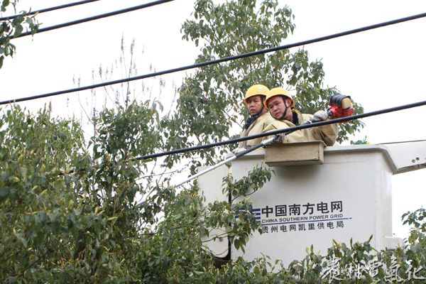 凯里供电局城区分局带电作业人员来到辖区相关线路，排查供电线路，用电锯对超高树木的枝条进行带电清理，确保不因树木超高而引发线路故障。.JPG