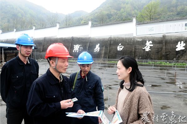 3月29日，国网福建宁德福鼎市供电公司党员服务队走进福建鼎白茶业公司的茶园，与茶企负责人面对面交流，讲解安全生产用电知识，发放便民服务联系卡（钟国欢）.jpg