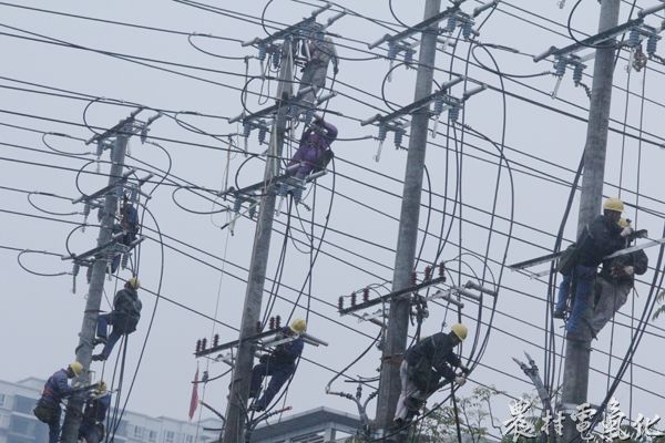 国网乐至县供电公司：520，他们的&ldquo;表白&rdquo;感动了所有人 (4)_.jpg