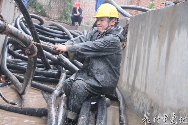 国网乐至县供电公司：520，他们的&ldquo;表白&rdquo;感动了所有人 (2).JPG