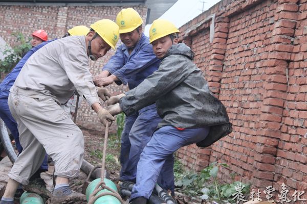 国网乐至县供电公司：520，他们的&ldquo;表白&rdquo;感动了所有人 (1).JPG