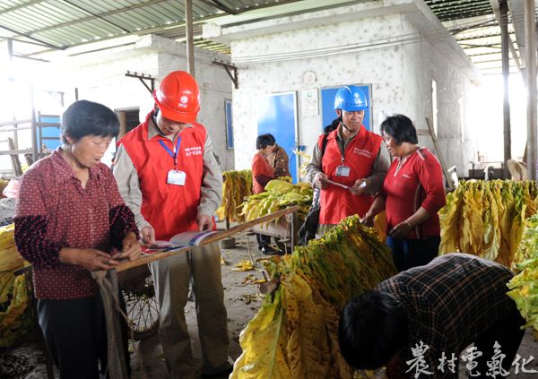 6月13日，福建长汀供电公司员工深入烤烟房向烟农宣传安全用电知识。（袁鸿梅13950896516）.JPG