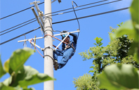 利辛供电：城网改造 提高“夏峰”用电保障