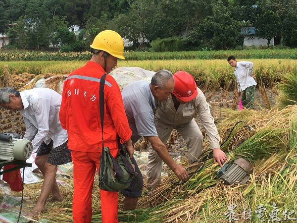 遂宁供电公司员工正稻田检查用电设备安全11.JPG