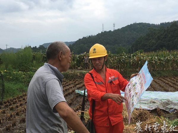 遂宁供电公司员工在水稻收割现场普及安全用电知识.JPG