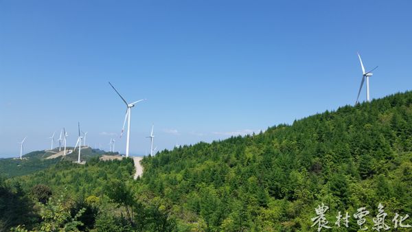 建设最佳、经营最优的蒲叶林风电场（刘飞）.jpg