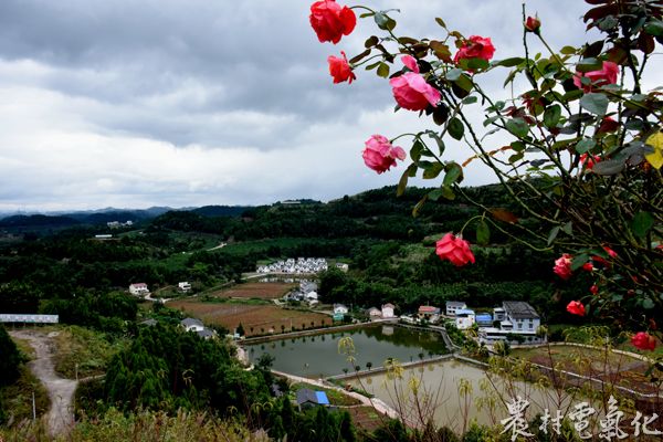 美丽乡村_3053.JPG