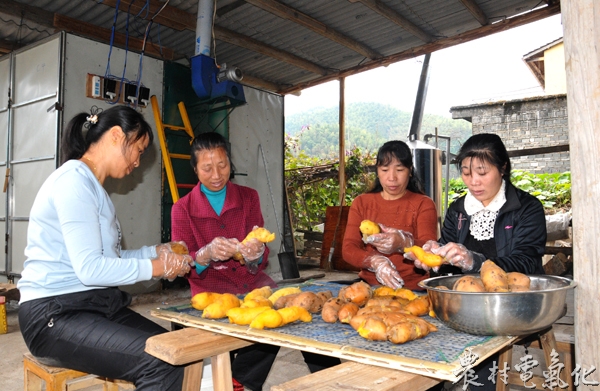 图6：村民们正在制作地瓜干.jpg