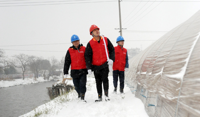 农村电气化网讯：1月25日，和县供电公司共产党员服务队顶风冒雪对该县历阳镇沈家山村蔬菜种植农户用电线路和设备进行巡视检查。