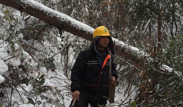 同时加强变电设备的雪后巡视检查，增加户外、偏远变电站的特巡，巡查室外端子箱、机构箱内防水是否正常，严密监控设备结冰、结凌、设备发热及注油设备油位变化等现象。全力保障扬城在遭遇大雪后供电正常。