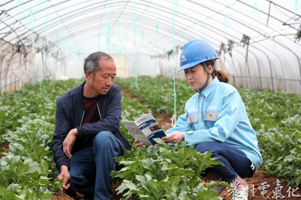 城郊供电所团员到田间地头普及安全用电知识3.JPG