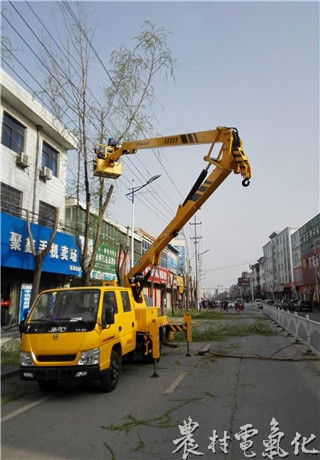 凤翔分公司下茬整治县城树线矛盾最突出路段_副本.jpg