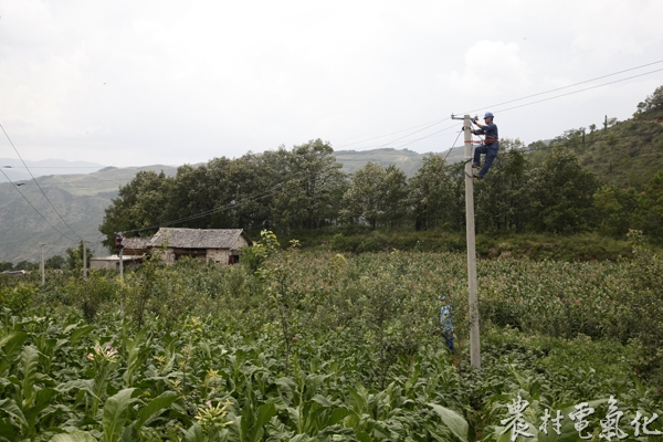 威宁供电局雪山供电所工作人员姬留军、张军林正在对用电负荷进行调平工作，确保烤烟季节电压质量正常.JPG