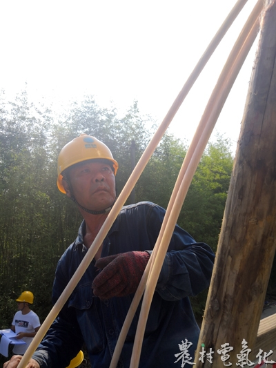 IMG_20180806_090930.jpg