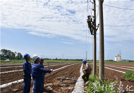 凤翔分公司开展在建工程安全大检查2.jpg