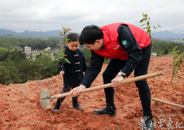 3月10日，龙岩长汀县供电公司员工带领儿子一同深入河田镇青年世纪林植树造林，种下亲子树为荒山添绿。（袁鸿梅13950896516）1.jpg