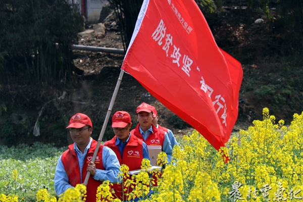 青年志愿服务队进村路上.JPG