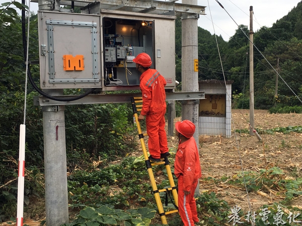 国网遂宁射洪县供电公司员工向小飞、陈永红在射洪县潼射4村9社检查台区配变运行情况.JPG