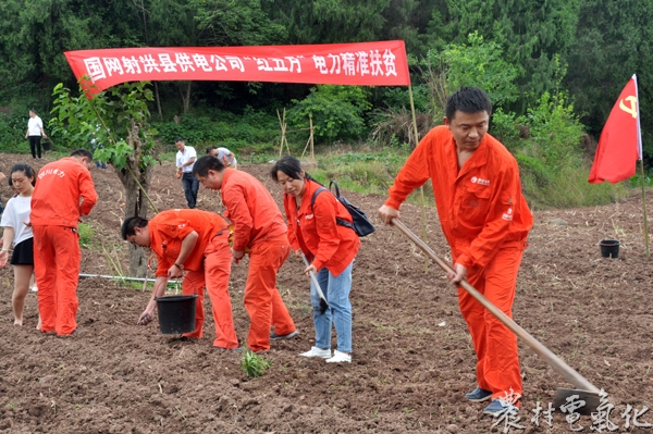 2大田村红五月抢耕抢种.JPG