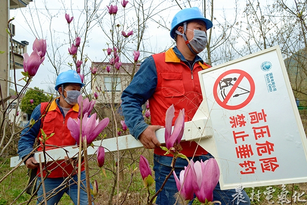 巡检高压线下的钓鱼点.jpg