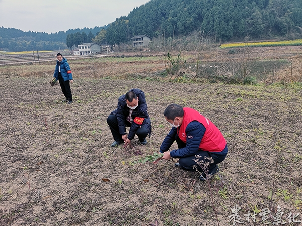 我在“大田”助力产业发展2.jpg