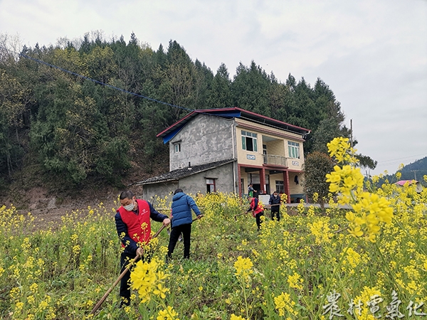 我在“大田”助力产业发展3.jpg