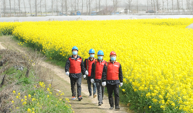 农村电气化网讯：3月19日，安徽和县供电公司共产党员服务队来到该县姥桥镇塘杜村瓜蒌子和油菜种植基地，对农业生产用电设施和线路进行检查维护，指导农业生产安全用电，满足春耕春种期间用电需求。