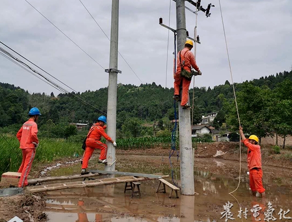 国网遂宁供电公司太乙供电所员工杨刚、杨海、罗建军等在太乙4村7队安装配变.jpg