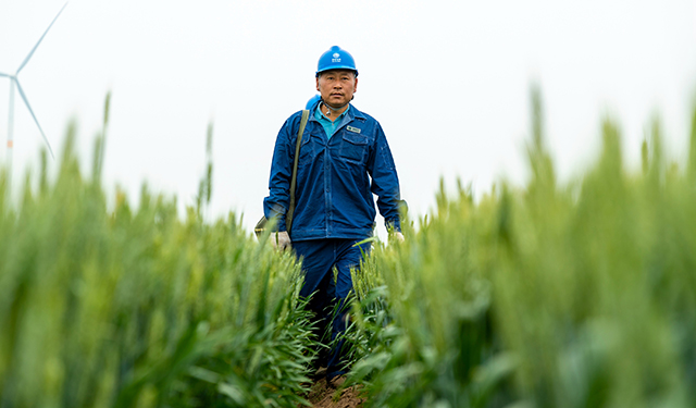 截止目前，经过新一轮农网改造升级，全县4.3万眼机井通电，实现农田机井通电全覆盖。近日，随着气温逐渐回升，又到了给小麦浇“灌浆水”的时节，农民们已经陆续开始到田里为小麦浇水了。图为，2020年5月7日，河南滑县留固镇程新庄村，国网滑县供电公司员工程世威、牛相飞行走在麦田里。