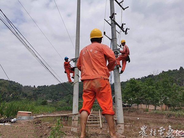 国网遂宁供电公司太乙供电所员工贺洪在太乙4村7队配变安装现场安全监护.jpg