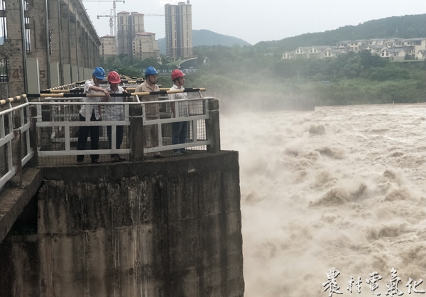 观察水势情况.jpg
