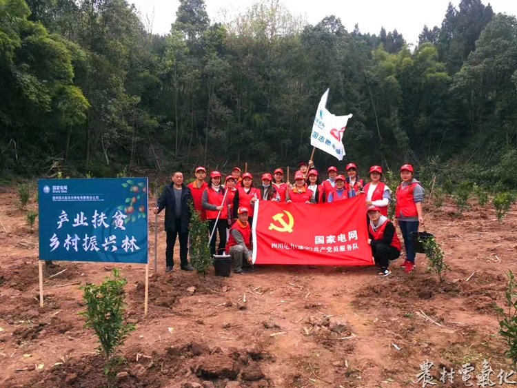 植树扶贫助力乡村振兴.jpg