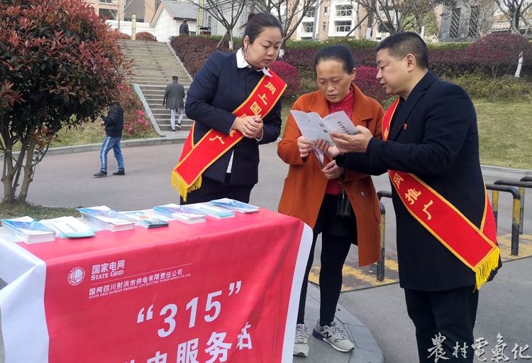 3月13日，国网四川遂宁射洪公司党员志愿者韩勇、员工罗金玲在紫云公园为客户解读现行电价政策，解答用电疑惑。.jpg