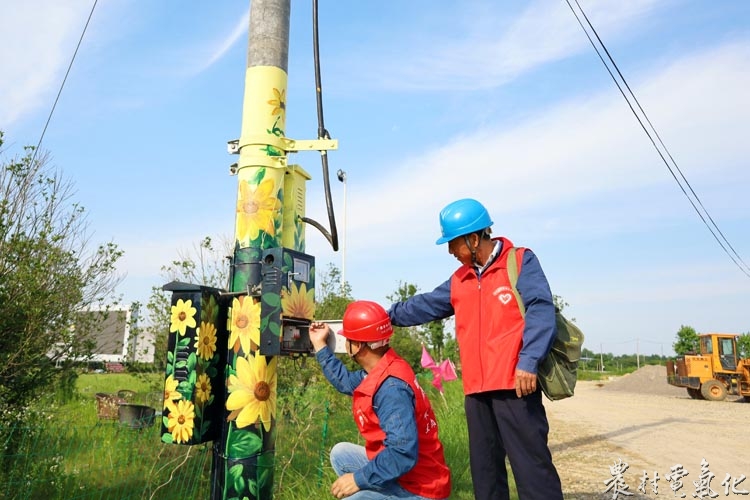 配图2：6月24日，国网广德市供电公司对赵村田园综合体电表进行检查。.jpg