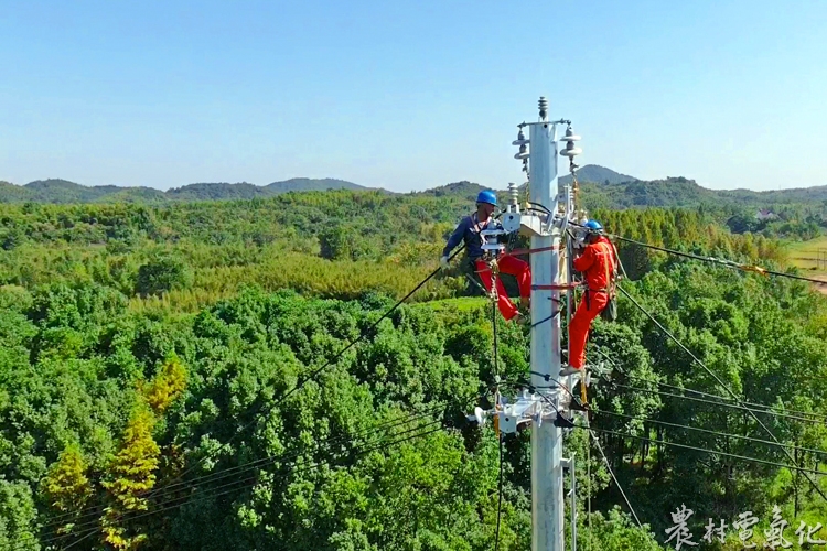 9月23日，国网广德市供电公司员工在10千伏同溪143线173号杆上架设线路。（程梦原）.jpg