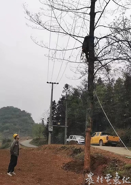 图为公司工作人员在春检工作中，对400伏鲁嘎支线隐患进行通道清理。.jpg